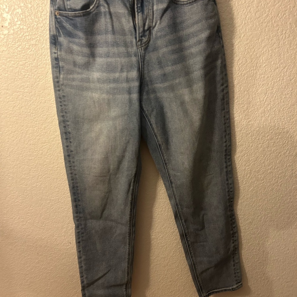 American Eagle Outfitters Light Blue Cropped Jeans